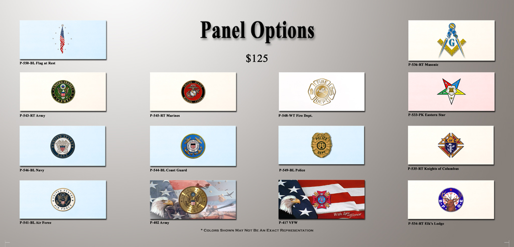 Panel Options 1